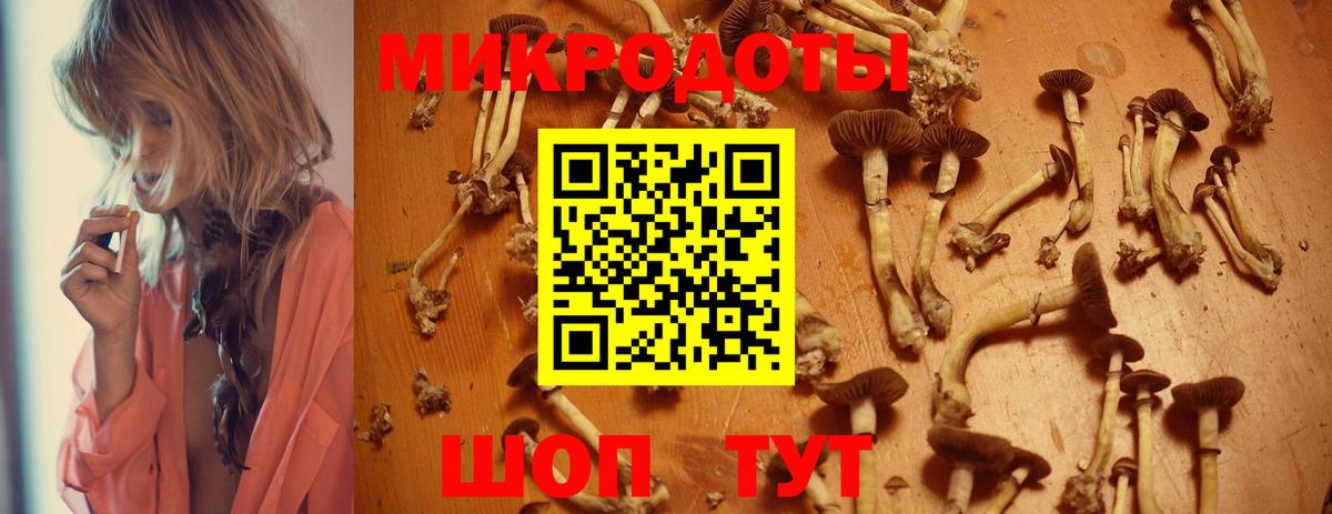 Галлюциногенные грибы мухоморы Грязи